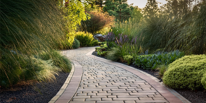 Ein gepflegter Weg mit pflegeleichten Materialien, der eine einladende und wartungsarme Gartenlandschaft bietet.